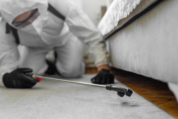 Professional Emergency Pest Control technician working in Oak Trail Shores, TX
